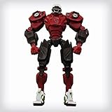 Arizona Cardinals 10