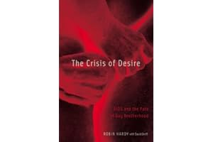 Crisis Of Desire: Aids And The Fate Of Gay Brotherhood