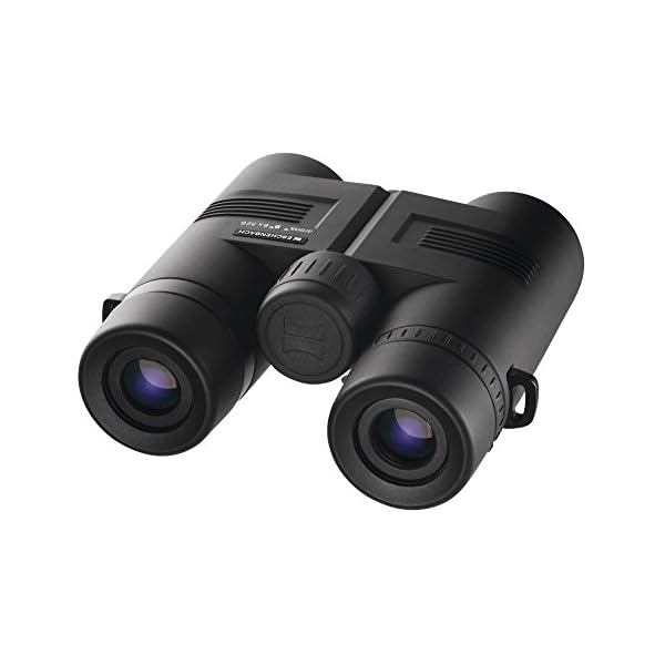ESCHENBACH Optik 8x32 Arena D+ wetterfestes Fernglas - handliches Einstiegsmodell für Wanderungen, Vogelbeobachtungen, Veranstaltungen – Bild 3