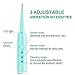 Electric Dental Calculus Remover Tartar Scraper Tooth Stain Remover High Frequency Vibration IPX6 Grade Waterproof with LED Light,Charged with USB