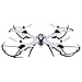 Floureon Yizhan H16 2.4G 4CH 6-Axis Gyroscope RC Quadcopter Drone(No Camera Included),Tarantula X6 Black