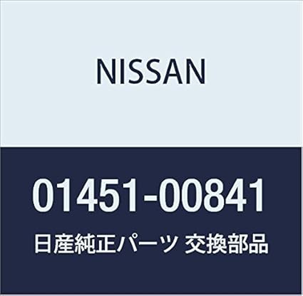 01451 00841 nissan