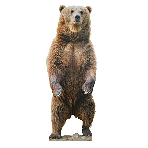 Mosaic Lifesize Grizzly Bear Cardboard Cutout | Fun Decoration Perfect to Display at Parties, Events, or at Your Store | This Big Bear Measures Over 7 feet Tall! - Thumbnail 7