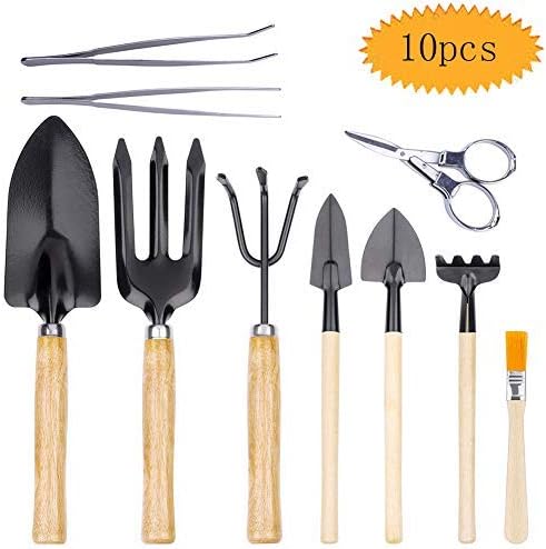 bluesees Mini Garden Tools Set, 10 PCS Bonsai Tools Kit Succulent Garden Hand Tool Kit for Starter - Fold Scissor, Brush, Tweezer, Mini Rake, Shove Weeding Fork Leaf Trimmer Set
