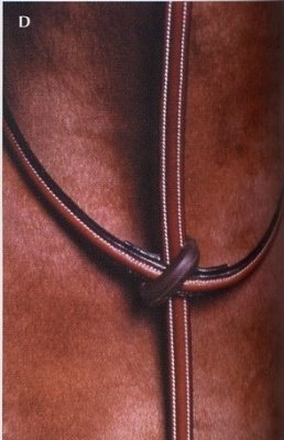 Kincade Raised Standing Martingale