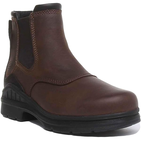 Danner Danner Light GORE-TEX Boot Black - Acheter Danner