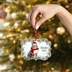 Brown Classic Tabby Norwegian Forest Cat Christmas