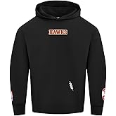 Pro Standard NBA mens Mens Nba Wingspan Fleece Pull Over Hoodie