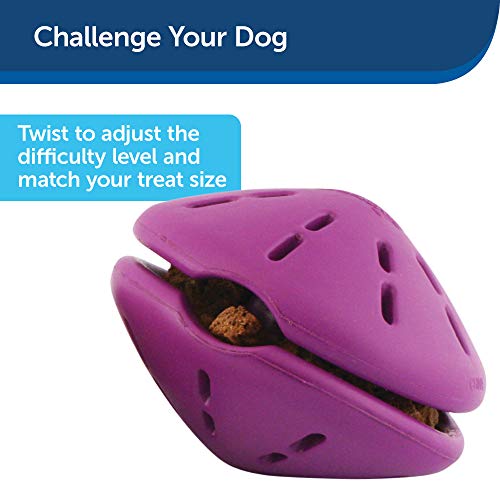 PetSafe Busy Buddy Twist 'n Treat Dispensing Dog Toy - Medium