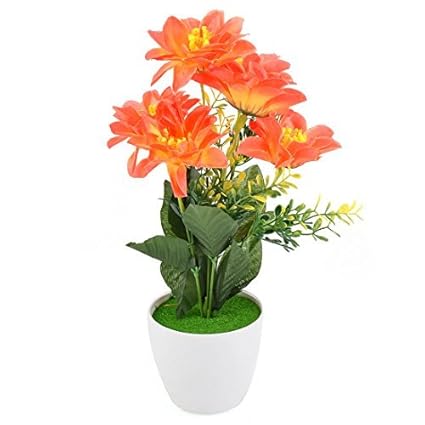 Amazoncom Edealmax Plastique Dortoir Bricolage Artisanat