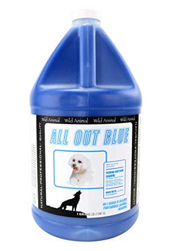 Wild Animal All Out Blue 50:1 Shampoo, Gallon