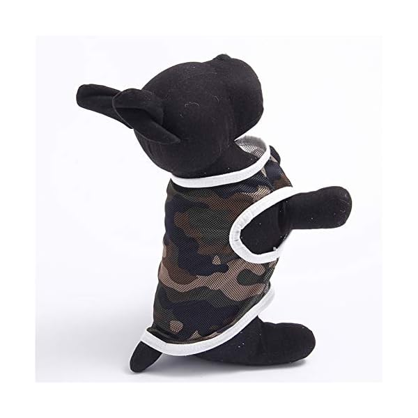 WFWUK Cappotto per Cani Cappottino Cane Estate Estate Vestiti per Cani Vestiti del Gattino Vestiti per Animali Domestici… WFWUK WFWUK Cappotto per Cani Cappottino Cane Estate Estate Vestiti per Cani Vestiti del Gattino Vestiti per Animali Domestici…