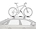 Whispbar WB201 Frame Mount Bicycle Carrier - Rooftop Upright Bike Rack