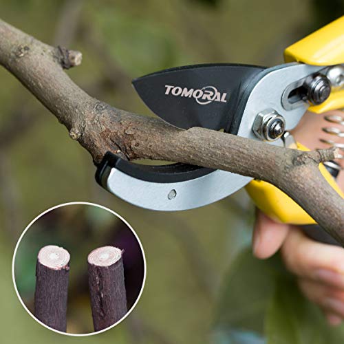 TOMORAL Professional SK-5 Steel Blade Anvil Pruning Shears(TM-PS-001), Cushion Shock Absorber Design, Ergonomically Design Handle. - Thumbnail 6