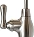 Metpure Reverse Osmosis Faucet Non-airgap RO Filtration System Coke Style NSF 100% Lead Free Water Dispenser Spout (Brushed Nickel) With Faucet Wrench RO-FW148