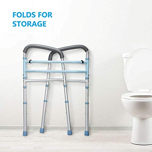 OasisSpace Stand Alone Toilet Safety Rail Heavy Duty Medical Toilet