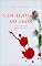 Livro Casualidades do amor