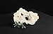Universal Rocks Decorock-040 Decorative Artificial Texas Holey Rock, White