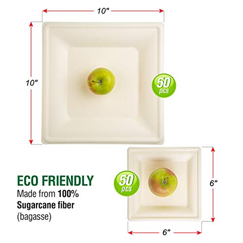 Kikigreen Bagasse Square Compostable Plates [100-pack] Dessert Disposable White Paper Plates Made Of Sugarcane (10 and 7 inch)