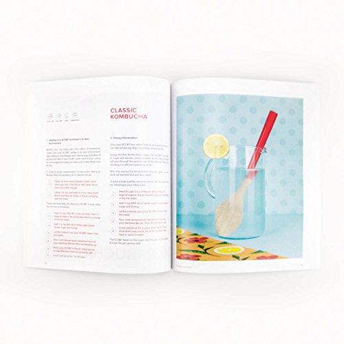 Mortier Pilon - 2L Glass Fermentation Crock + FREE Recipe Book – Make Easy Homemade Fermented Foods (kimchi, pickles, sauerkraut, organic vegetables) - Thumbnail 2