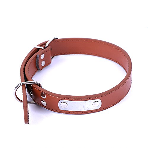 Pet Dog Collar Buckle Candy Color PU Leather Collar Neck Str