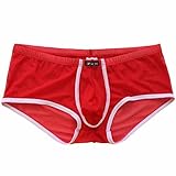 FEESHOW Men's Soft Sheer Mesh Boxers Briefs Shorts Bulge Pouch Underpants