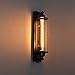 Pauwer Industrial Wall Sconce Light Fixture Vintage Wire Cage Wall Sconce Black Edison Wall Lamp (Bulb Included)