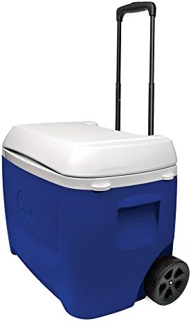 Igloo Playmate Eisbox Island breeze QT 60 Scooter Blue