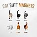 OSABO Cat Butt Magnets (Set of 6)