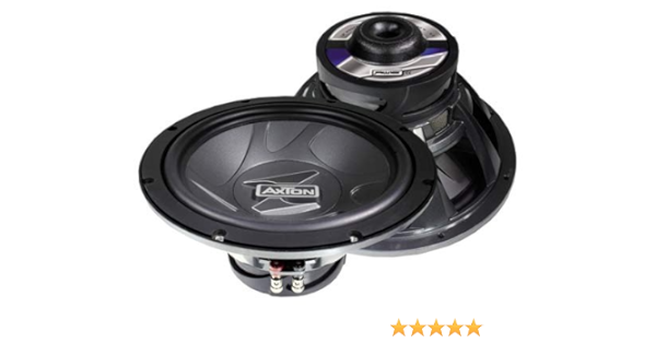 axton subwoofer