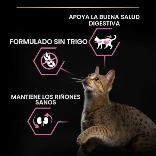 Delicadas croquetas - Riche en agneau - Pour Chat Adulte - 10 kg