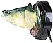 Big Mouth Billy Bass – Compatible with Alexa