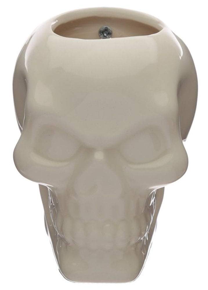 Ceramic Skull Garden Wall Planter