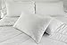 Set of 2 Premium 100% Down Pillows - 550 Fill Power (26oz.) - White Goose Down Sleeper - 100% Egyptian Cotton Shell - Queen Size, 20 x 30-inch - 400 Thread Count - Proudly Made in The USA