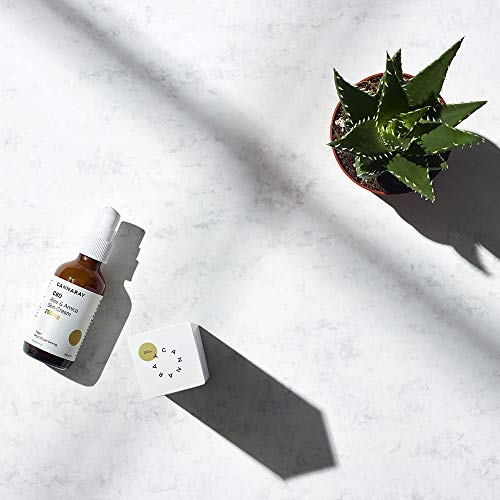 Cannaray CBD Vegan Skin Cream, 250mg cannabidiol | with Soothing Aloe & Arnica, 60ml - Image 8