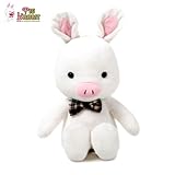 Korea Drama You're Beautiful Pig Rabbit Doll 35cm/13.8in (DRTY023)