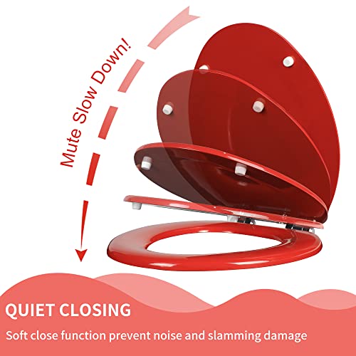 Angel Shield Toilet Seat with Zinc Alloy Hinges QuietClose Quick
