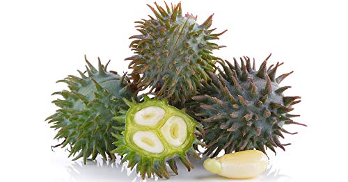 View 4