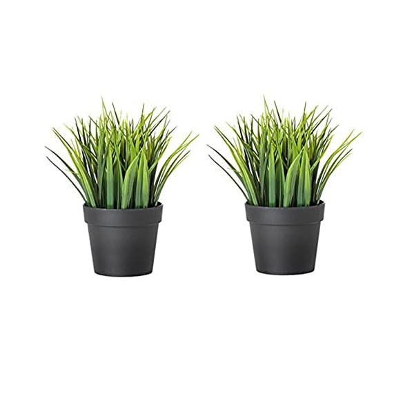 Ikea Artificial Plant, Wheat Grass with Polypropylene Pot (Green, Black