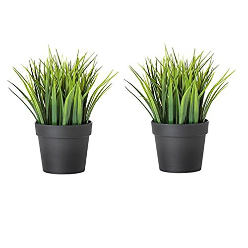 Ikea Artificial Plant, Wheat Grass with Polypropylene Pot (Green, Black