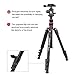 BONFOTO B690A Lightweight Aluminum Tripod Portable Travel Camera Stand with 360 Degree Ball Head and Carry Bag, Tripods for Canon Nikon Sony DSLR