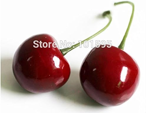 Maxry(TM)20pcs/pack Fake Faux Fruit Cherry Artificial Model Cake Top Decor House Party Table Decorative Photograph Background Accessories