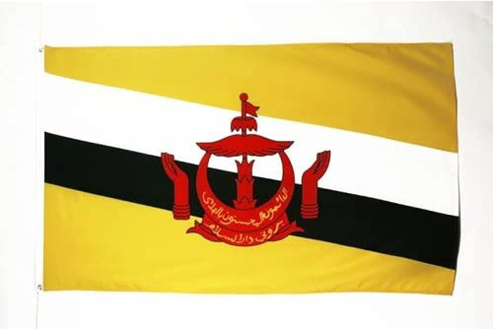 AZ FLAG Brunei Flag 3x5 Ft 100D Polyester with 2 Brass Eyelets Fade Resistant