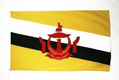 AZ FLAG Brunei Flag 3x5 Ft 100D Polyester with 2 Brass Eyelets Fade Resistant