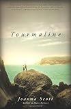 Front cover for the book Tourmaline by Joanna Scott