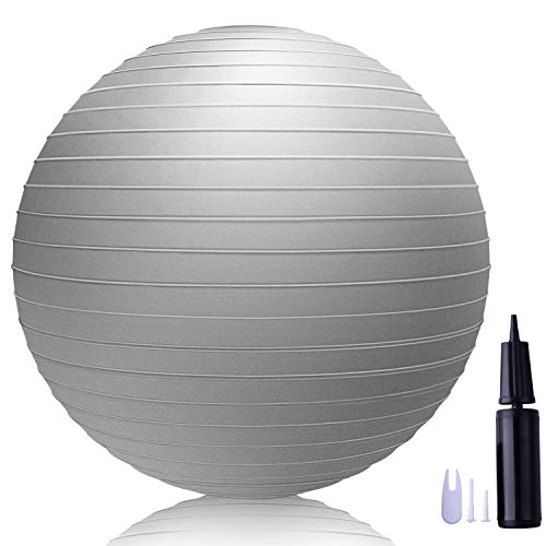 LAKIBOLE 75cm Exercise Ball Anti-Burst Yoga Ball with Quick Pump for Office & Home & Gym (Gray)