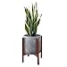 Mid Century Wood Plant Stand Holder for Planters Up to 10 Inch, Indoor Flower Pot Potted Planter Rack Caddy Trivet (Pot and Plant Excluded)