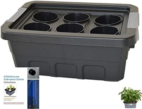 Basic Hydroponic DWC kit #4St 6-site H2OtoGro