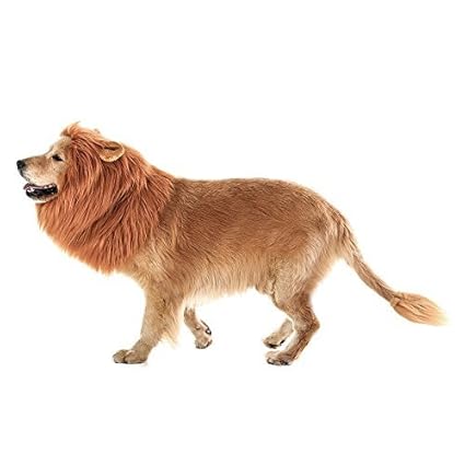 WSGQLT Lion Mähne Kostüm für große Hunde Pet.-Ergänzende Lion Mähne für Hundekostüme-Lion Halloween Hund Mähne Kostüm für Pet