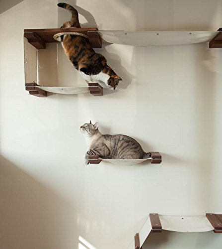 CatastrophiCreations Cat Mod Climb Track Handcrafted Wall mounted Cat Tree Shelves, English Chestnut/Natural, One Size